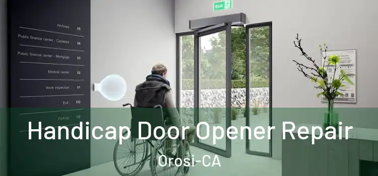  Handicap Door Opener Repair Orosi-CA