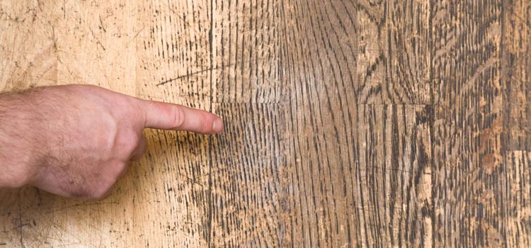Wood Door Scratch Repair in Orosi